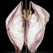 Tina Rojko (pole dance), 2024 <em>Photo: © Saša Huzjak</em>