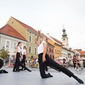 DSPS: 20 metrov v dolžino, devet metrov v širino in štiri metre v višino @ Festival Platforma, Maribor (Slovenia), 28/08 > 31/08/2024 <em>Photo: © Saša Huzjak</em>